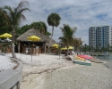 tiki bar on Sarasota's waterfront