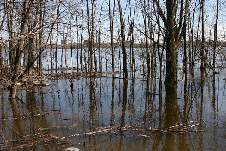 Spring flooding near the pathway.