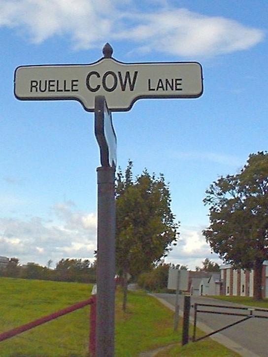 Cow lane