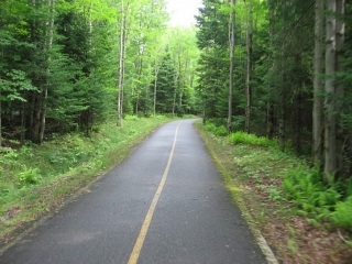 Estriade bike trail in a wooded area.