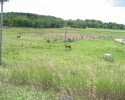 horse ranches on Highway 2