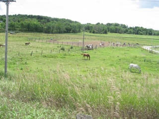 horse ranches on Highway 2