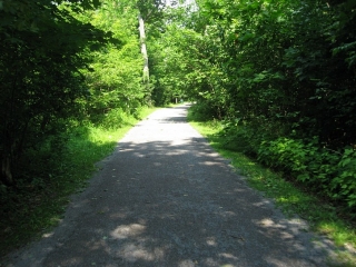 path in the Lemoine Point Conservation Area