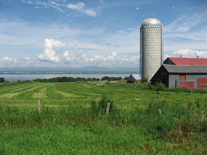 farm next to  St. Lawrence River