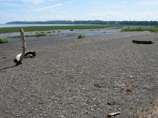 St. Lawrence River at low tide