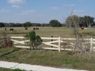 farmland next to Fruitville Road