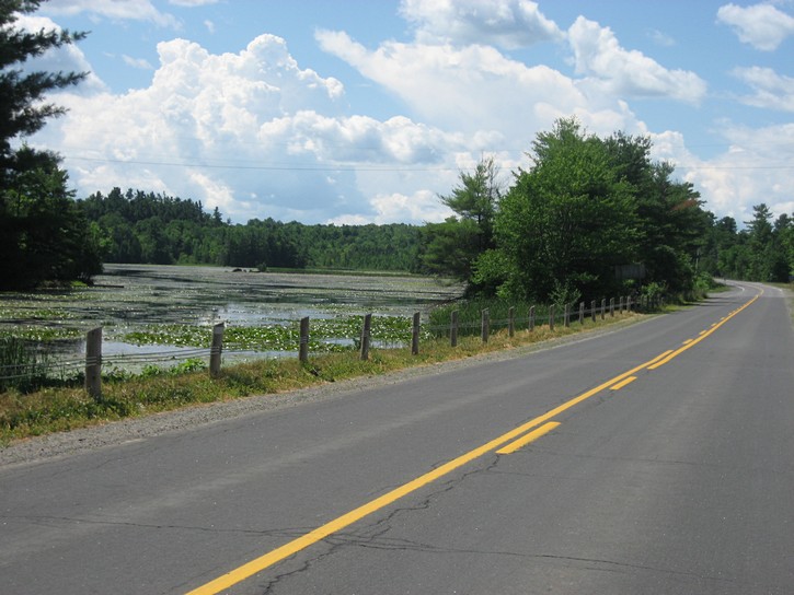 view from Regional Road 10 in Rideau Lakes area
