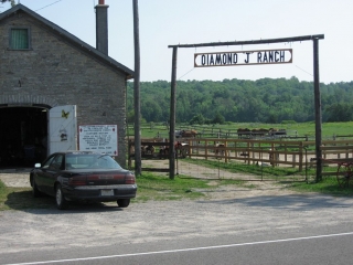 A horse ranch