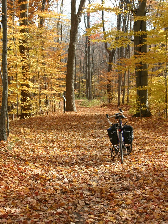 The Greenbelt Trail in the fall.