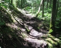 hiking trail in the Kakabeka Falls Provincial Park