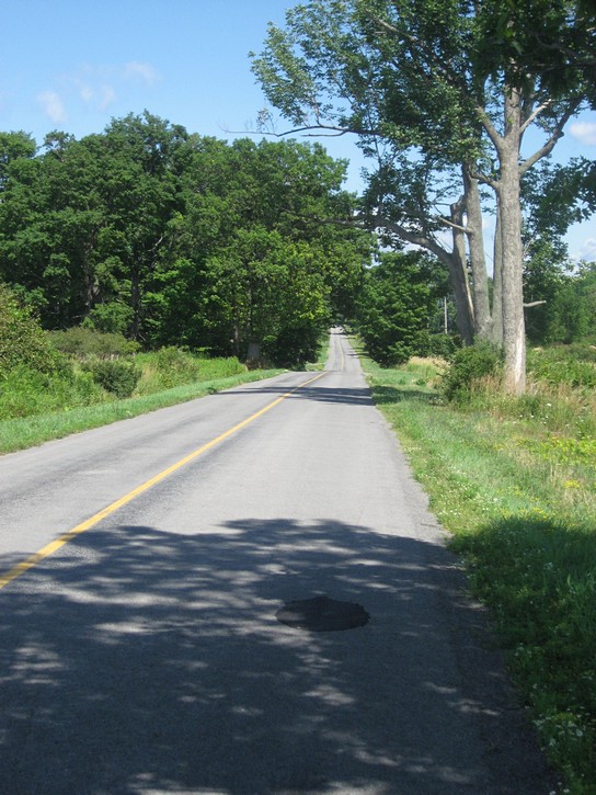 road on Wolfe Island